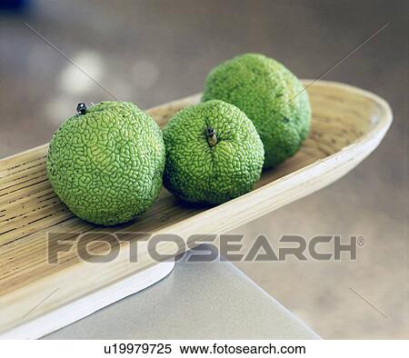 breadfruit in fruit bowl View Large Photo Image Stock Photography - breadfruit in fruit bowl. Fotosearch