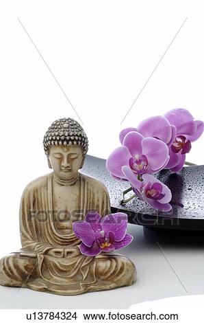 Buddha statuette and orchid blooms View Large Photo Image Picture - Buddha statuette and orchid blooms. Fotosearch