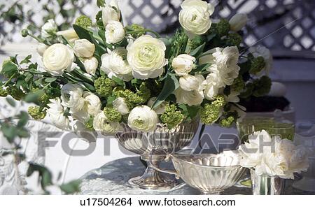 Picture - Bunch with white Ranunculus. Fotosearch