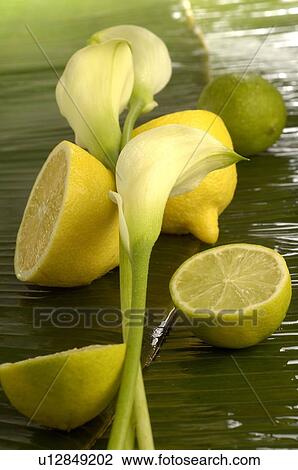 Stock Image - Calla lilies with lemon. Fotosearch
