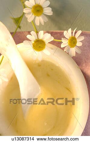 Camomile vanishing creme View Large Photo Image Picture - Camomile vanishing creme. Fotosearch