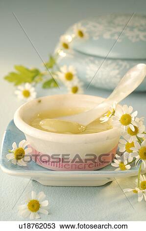 Camomile vanishing creme View Large Photo Image Stock Image - Camomile vanishing creme. Fotosearch