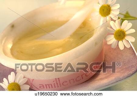 Camomile vanishing creme View Large Photo Image Stock Image - Camomile vanishing creme. Fotosearch