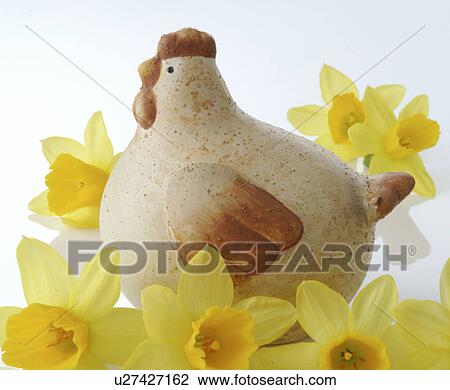 clay hen between dafodillas View Large Photo Image Stock Image - clay hen between dafodillas. Fotosearch