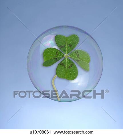 Stock Image - Cloverleaf in a bubble. Fotosearch