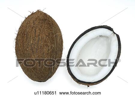 Stock Image - Coconut. Fotosearch