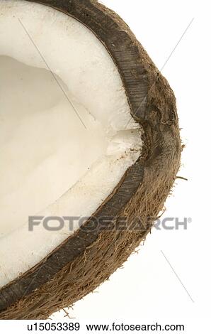 Stock Photo - Coconut. Fotosearch