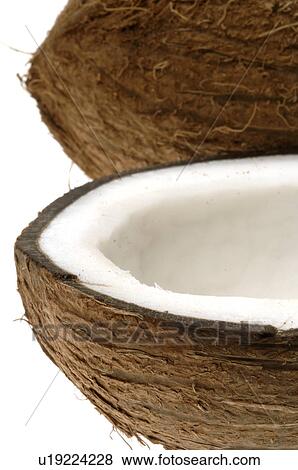 Coconut View Large Photo Image Stock Photo - Coconut. Fotosearch