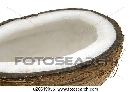 Coconut View Large Photo Image Stock Photography - Coconut. Fotosearch