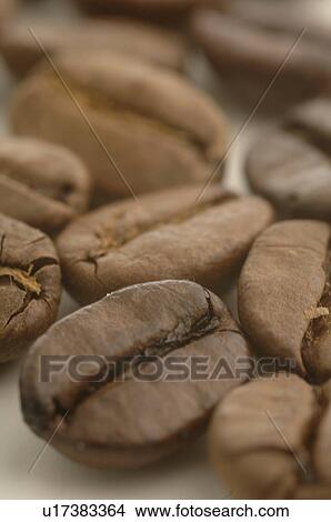 Picture - Coffee beans close up. Fotosearch