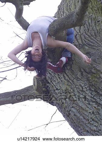 Dark-haired woman lying in tree View Large Photo Image Picture - Dark-haired woman lying in tree. Fotosearch