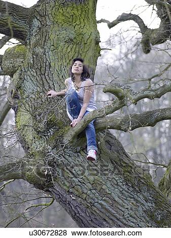 Dark-haired woman sitting in tree View Large Photo Image Stock Photo - Dark-haired woman sitting in tree. Fotosearch