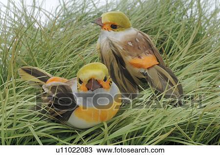 Decorative birds View Large Photo Image Stock Image - Decorative birds. Fotosearch