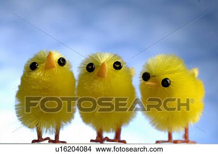 Decorative chicken View Large Photo Image Picture - Decorative chicken. Fotosearch