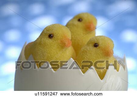 Decorative chicken View Large Photo Image Stock Photo - Decorative chicken. Fotosearch