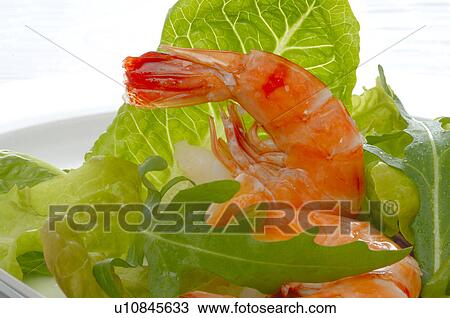 Stock Image - Dish of shrimps, lemon and salad. Fotosearch