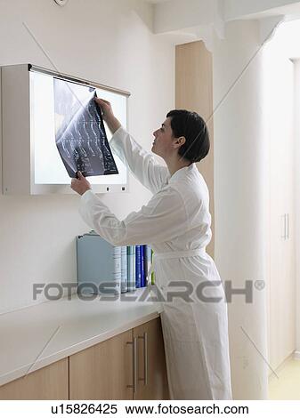 Stock Photography - doctor with x-ray. Fotosearch