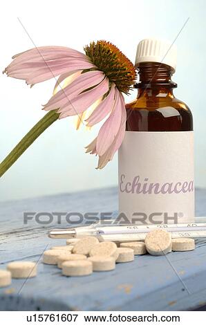 Echinacea, drops, pills and a clinical thermometer View Large Photo Image Stock Photo - Echinacea, drops, pills and a clinical thermometer. Fotosearch