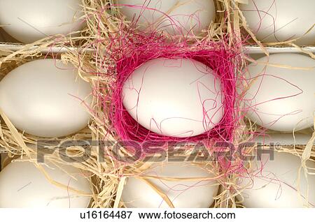 Egg box View Large Photo Image Stock Photo - Egg box. Fotosearch