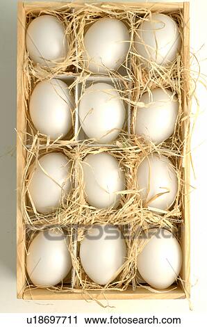 Eggs in a decorative box View Large Photo Image Stock Image - Eggs in a decorative box. Fotosearch