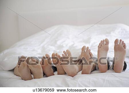 eigth feet under the sheets View Large Photo Image Stock Photo - eigth feet under the sheets. Fotosearch