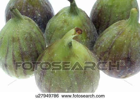 Stock Photograph - Figs. Fotosearch