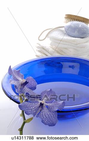 Stock Photo - Flower, bowl of water and towels. Fotosearch