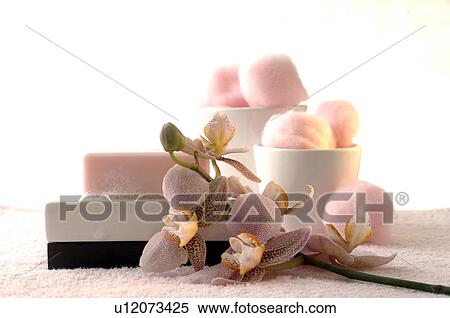 Stock Photography - Foamy soap bar and cotton wool decorated with an orchid on a soap dish. Fotosearch