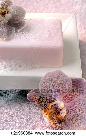 Foamy soap bar decorated with an orchid on a soap dish View Large Photo Image Picture - Foamy soap bar decorated with an orchid on a soap dish. Fotosearch