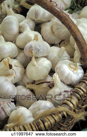 garlic in basket View Large Photo Image Stock Photo - garlic in basket. Fotosearch