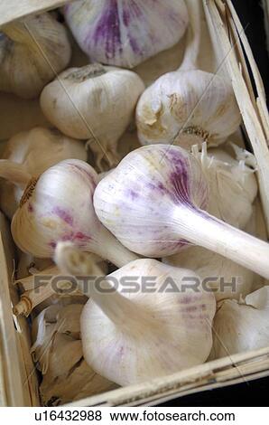 Stock Photo - garlic in basket. Fotosearch