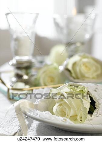 Gedeck mit weißer Rose View Large Photo Image Stock Image - Gedeck mit weißer Rose. Fotosearch