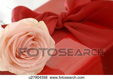 Stock Photo - Geschenk mit Rose. Fotosearch