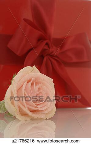 Stock Photograph - Geschenk mit Rose. Fotosearch