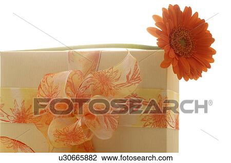 Stock Image - Geschenk. Fotosearch
