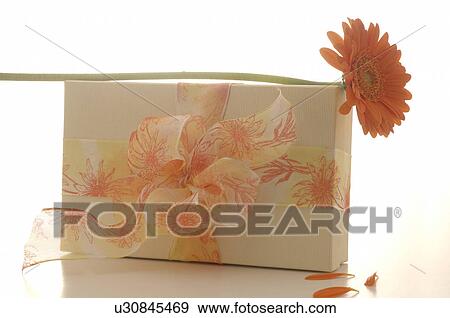 Stock Photo - Geschenk und Gerbera. Fotosearch