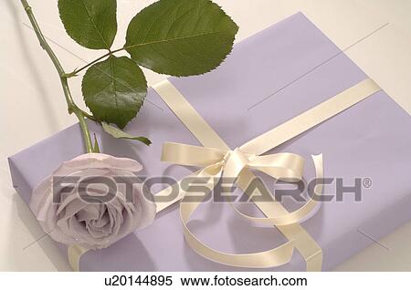 Stock Photography - Gift and lilac colored rose. Fotosearch
