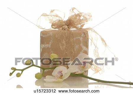Stock Image - Gift and orchid blossom. Fotosearch