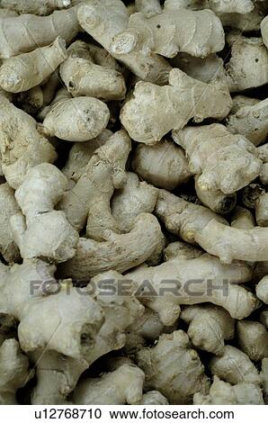 Stock Image - ginger. Fotosearch