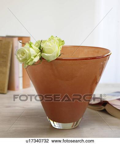 Glass vase with roses View Large Photo Image Stock Image - Glass vase with roses. Fotosearch