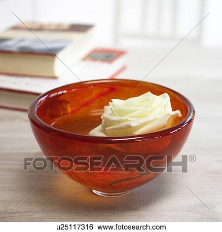 Glasschale mit Rose View Large Photo Image Stock Photograph - Glasschale mit Rose. Fotosearch