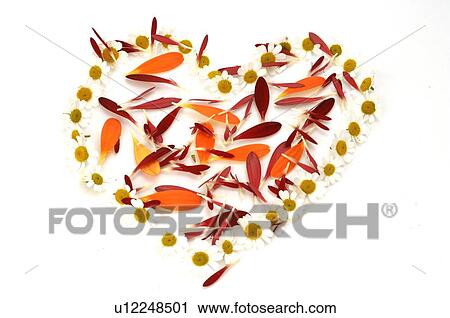 Stock Image - Heart made of blossoms and petals. Fotosearch