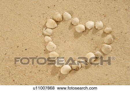 Heart made of sea shell View Large Photo Image Stock Photo - Heart made of sea shell. Fotosearch
