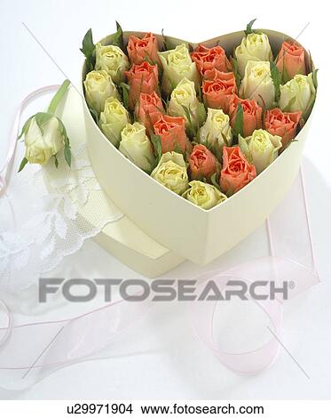 Heart shaped box filled with roses View Large Photo Image Picture - Heart shaped box filled with roses. Fotosearch