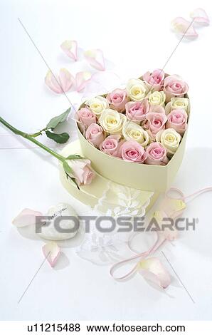 Heart shaped box filled with roses View Large Photo Image Stock Photo - Heart shaped box filled with roses. Fotosearch