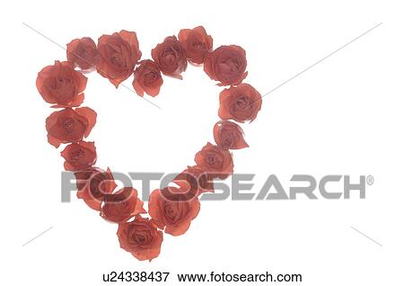 Stock Photo - Heartshaped wreath of roses. Fotosearch