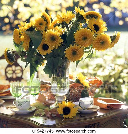 Stock Photography - Layed table with bunch of sunflowers. Fotosearch