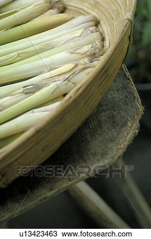 lemongrass in bowl on chair View Large Photo Image Stock Image - lemongrass in bowl on chair. Fotosearch