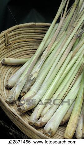 Stock Photograph - lemongrass in bowl. Fotosearch