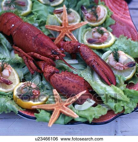 Stock Photograph - Lobster on plate. Fotosearch